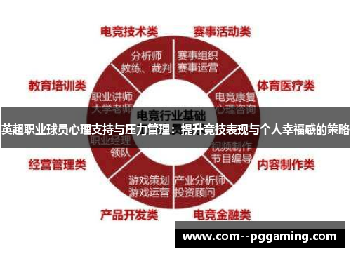 英超职业球员心理支持与压力管理:提升竞技表现与个人幸福感的策略 英超职业球员心理支持与压力管理:提升竞技表现与个人幸福感的策略