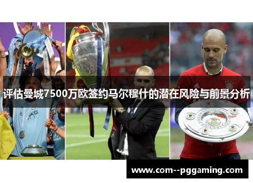 评估曼城7500万欧签约马尔穆什的潜在风险与前景分析 评估曼城7500万欧签约马尔穆什的潜在风险与前景分析