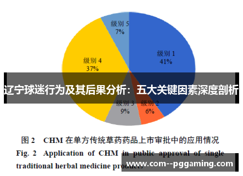 辽宁球迷行为及其后果分析:五大关键因素深度剖析 辽宁球迷行为及其后果分析:五大关键因素深度剖析