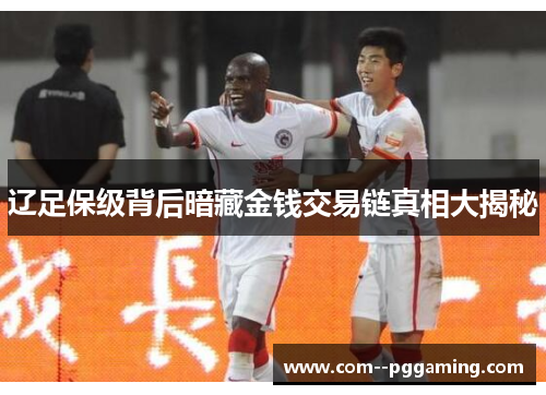 辽足保级背后暗藏金钱交易链真相大揭秘 辽足保级背后暗藏金钱交易链真相大揭秘