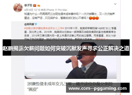 赵鹏揭露欠薪问题如何突破沉默发声寻求公正解决之道 赵鹏揭露欠薪问题如何突破沉默发声寻求公正解决之道