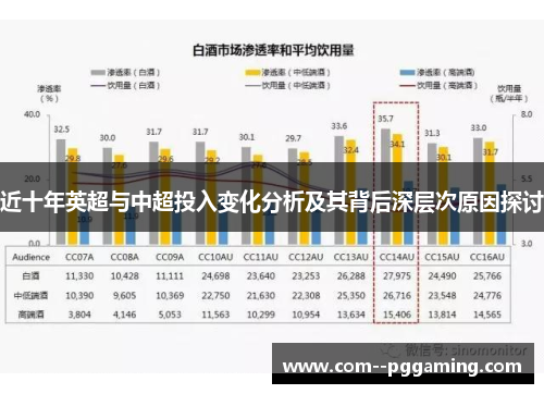 近十年英超与中超投入变化分析及其背后深层次原因探讨