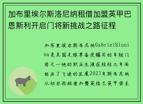 加布里埃尔斯洛尼纳租借加盟英甲巴恩斯利开启门将新挑战之路征程