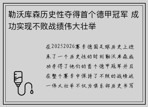 勒沃库森历史性夺得首个德甲冠军 成功实现不败战绩伟大壮举 勒沃库森历史性夺得首个德甲冠军 成功实现不败战绩伟大壮举